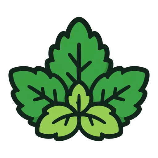 Planta de menta madura de Minty Goals